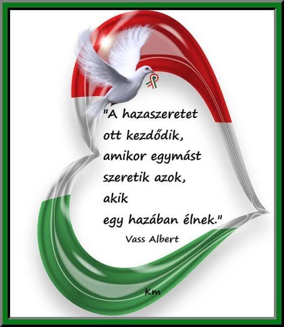 FB_IMG_1773553813303